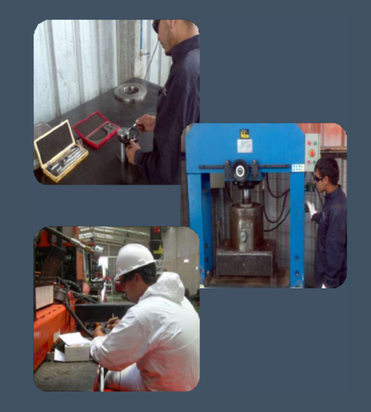 RD Servicios